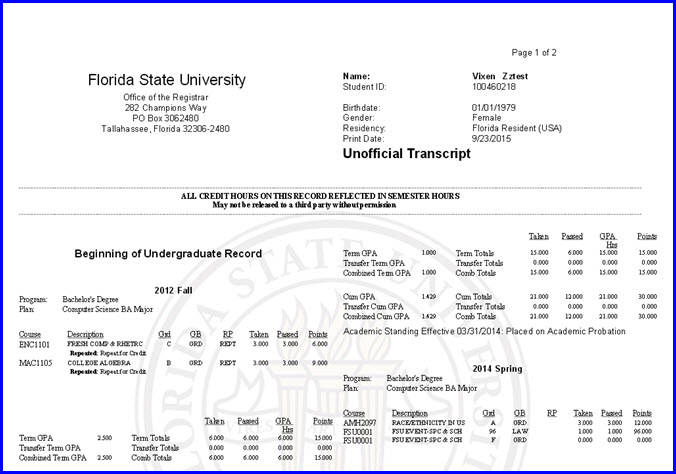 Example Transcript