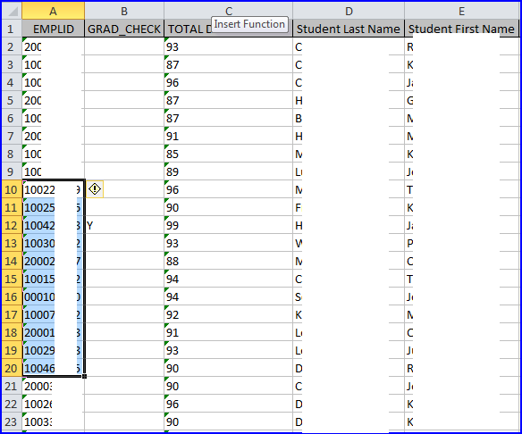 Excel File EMPLIDs screen shot