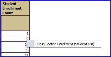 Class Section Enrollment (Student List) button