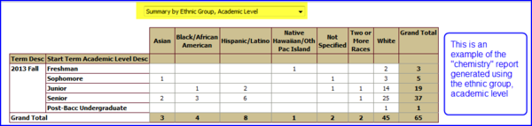 Results by Ethnic Group, Academic Level