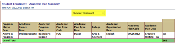 Summary Headcount view screen shot