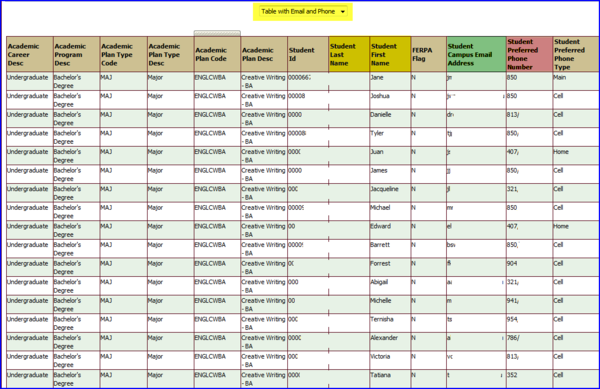 Table with Email and Phone view screen shot