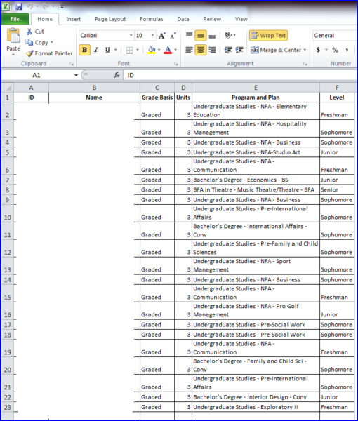 Example of a roster in Excel screen shot